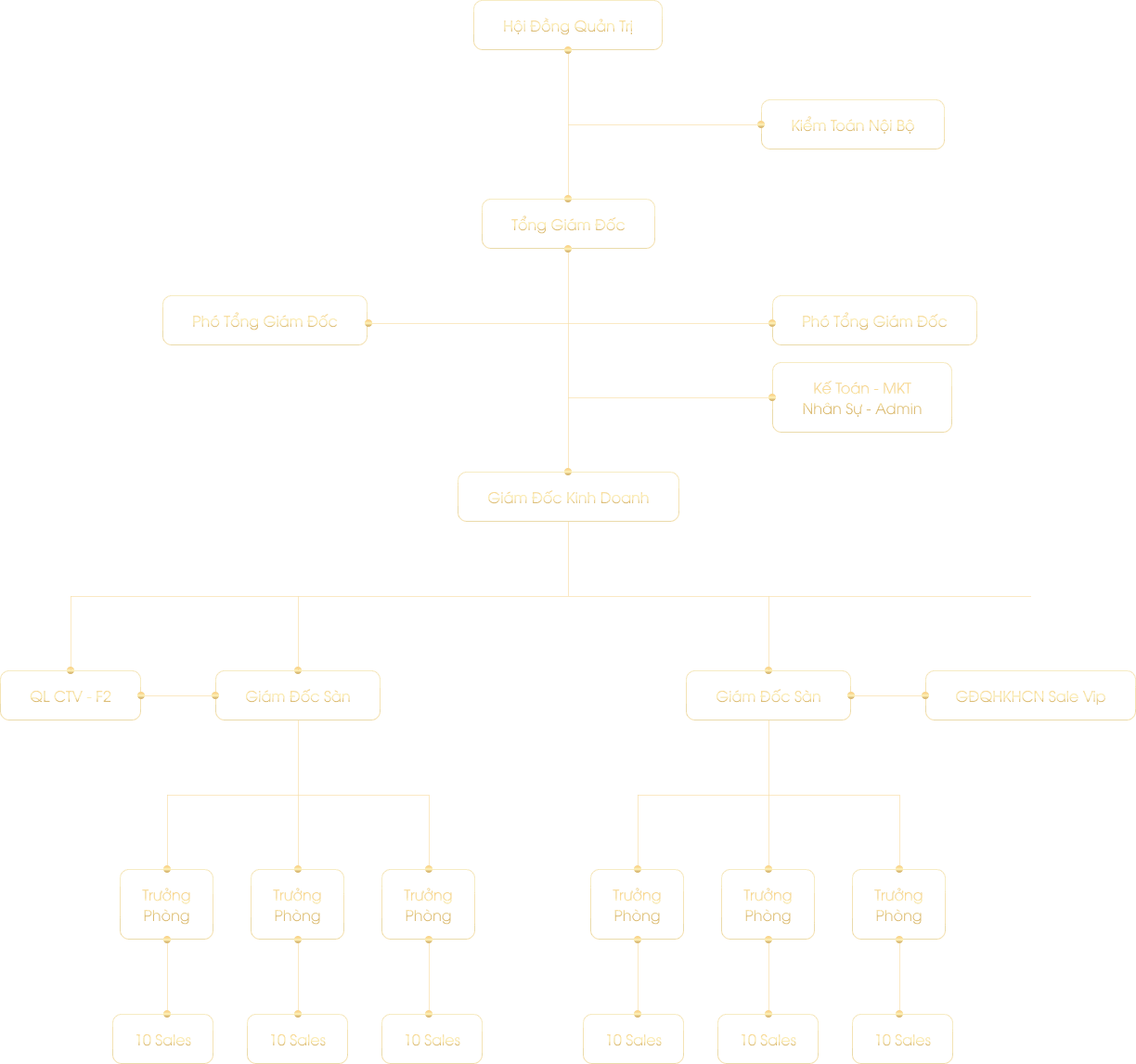 NewLink Sơ đồ Tổ Chức