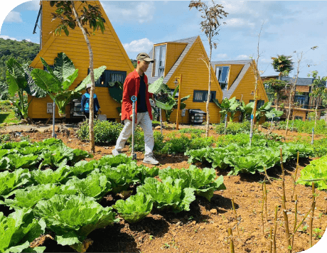 Làng Omm - KHU FARM LÀNG OMM