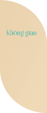 Thành Tổ Ấm - NewLink Investment